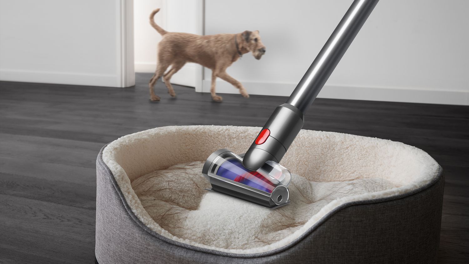 Dyson Gen5 Detect Absolute مكنسة