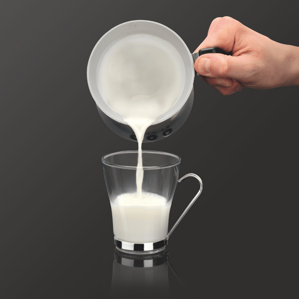 Krups XL100810 خفاق حليب